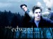 Edward-Cullen-eclipse-movie-11562144-800-600